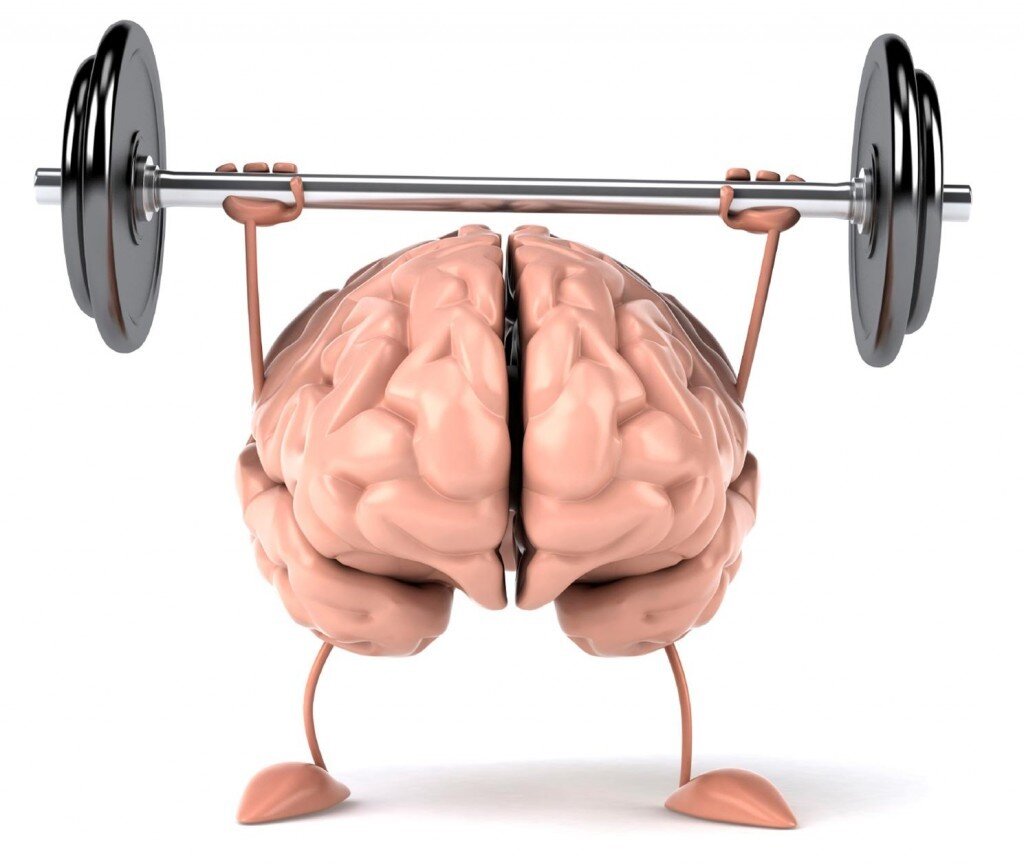 Nöroplastisite ve Beyin Egzersizleri